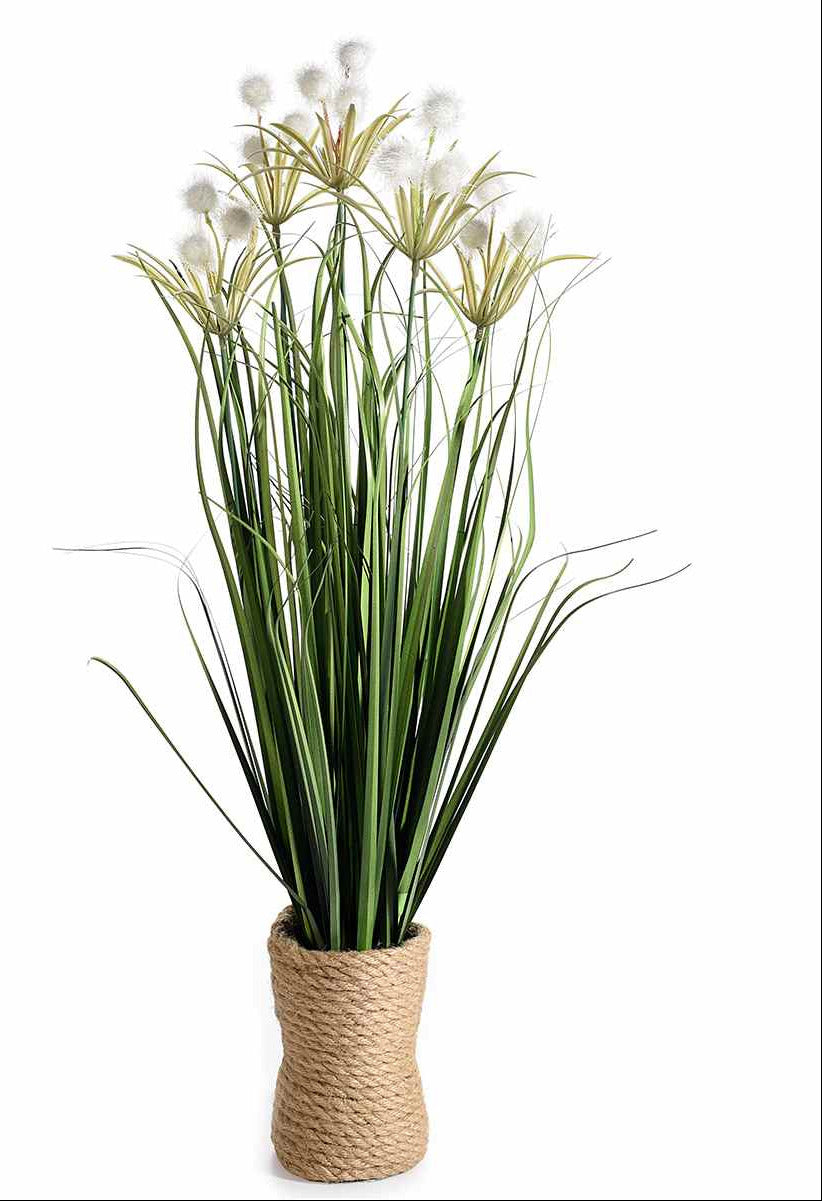 Pianta coda di coniglio ornamentale in vaso in corda