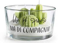 Candele  Candele a forma di cactus in vasetto di vetro con scritte
