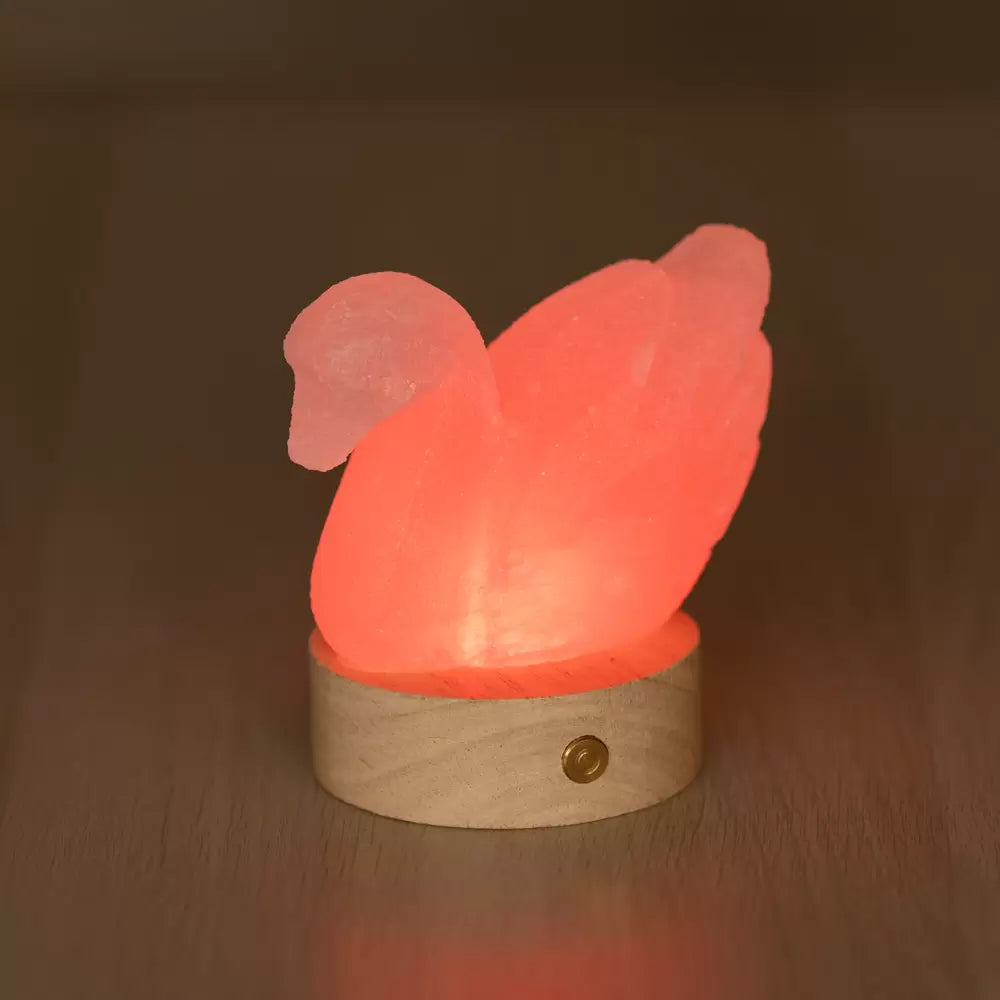 Lampada di Sale Himalayano Libera a batteria Bianca scolpita a forma di Cigno 600 g con luce Led RGB e base rotonda