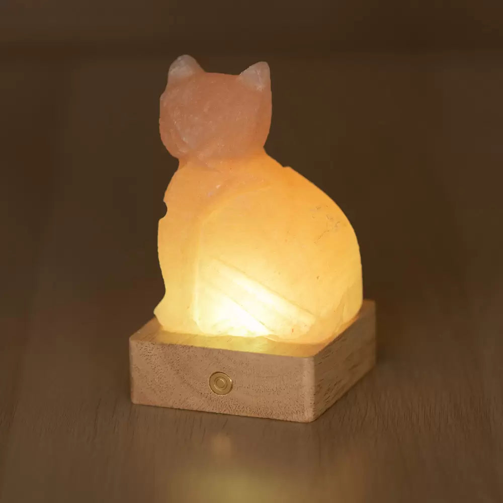 Lampada di Sale Himalayano Libera a batteria Rosa scolpita a forma di Gatto 600 g con luce Led RGB e base quadrata